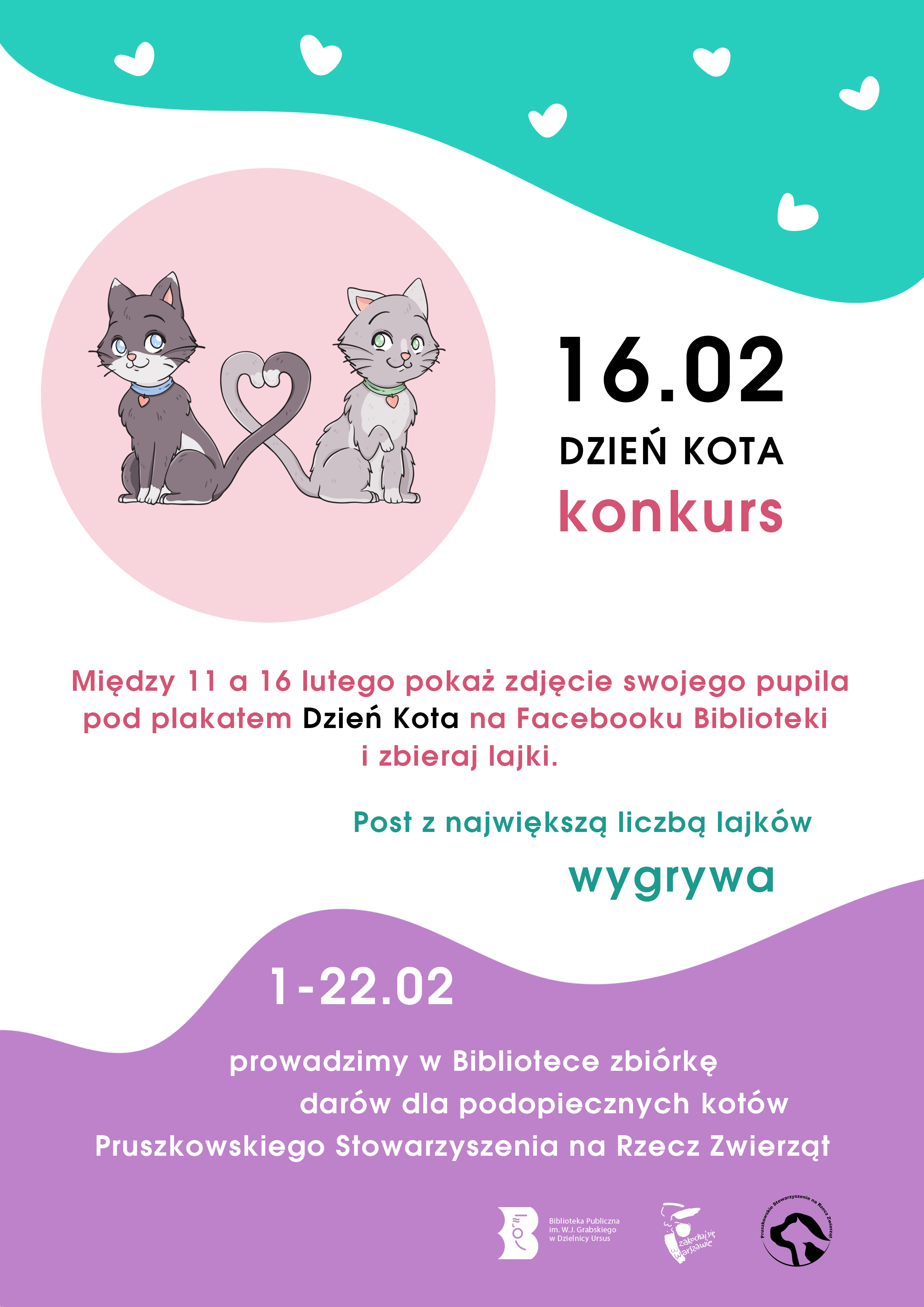dzien kota_akc