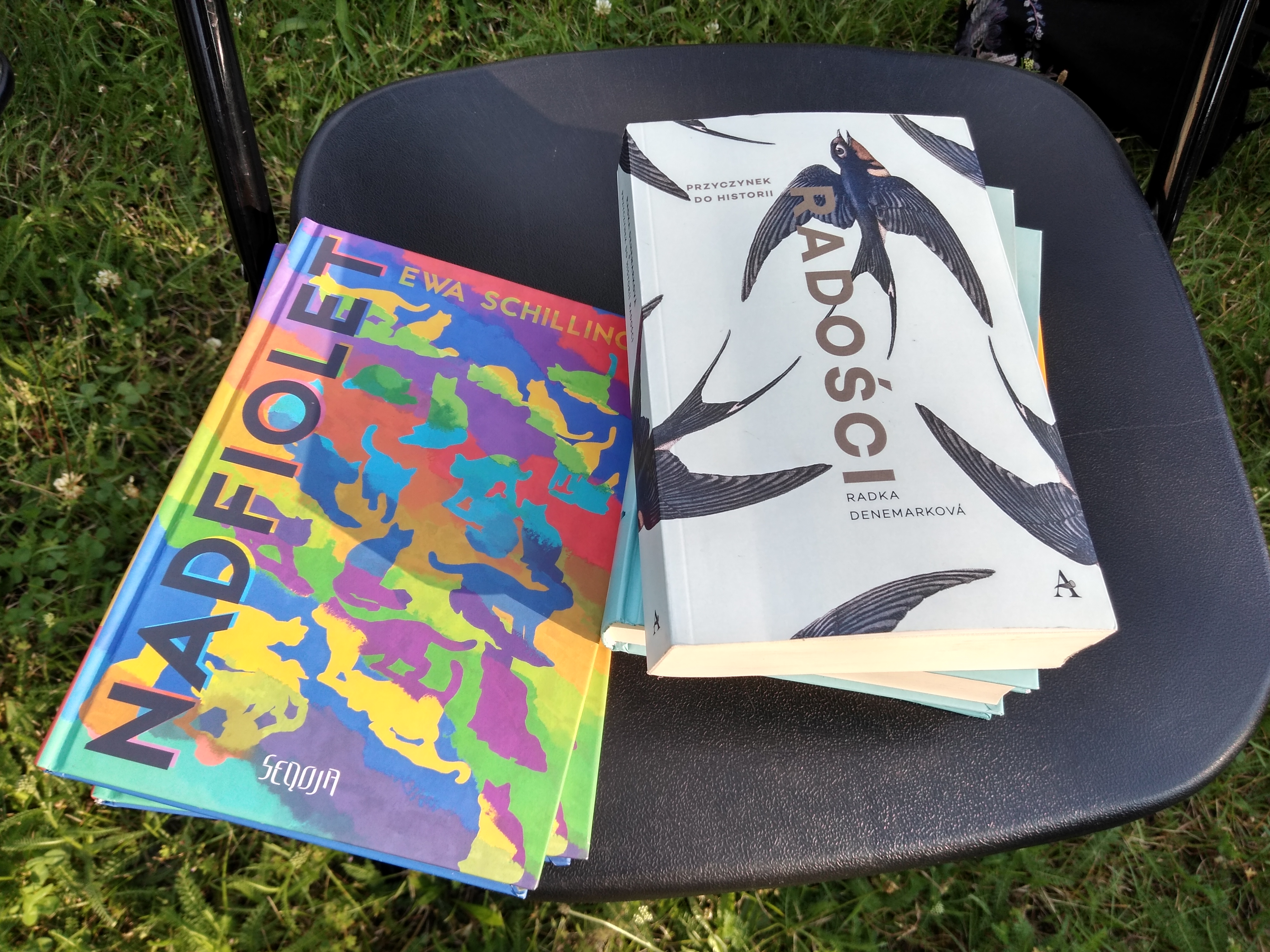 Dwie książki leżące na krześle