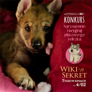 wyróżniający Plakat z młodym, małym wilkiem i maskotką małego wilczka. Napisy Konkurs