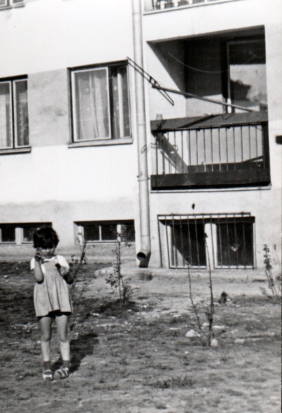 AR.IL.01.0013.kolorowa