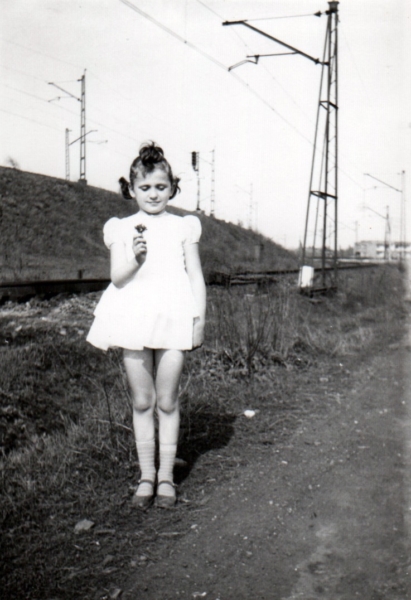 AR.IL.01.0052.wiosny.ludow