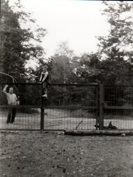 AR.IL.01.0066.popowo