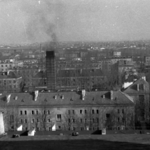 Kolekcja Robert Olesiejuk