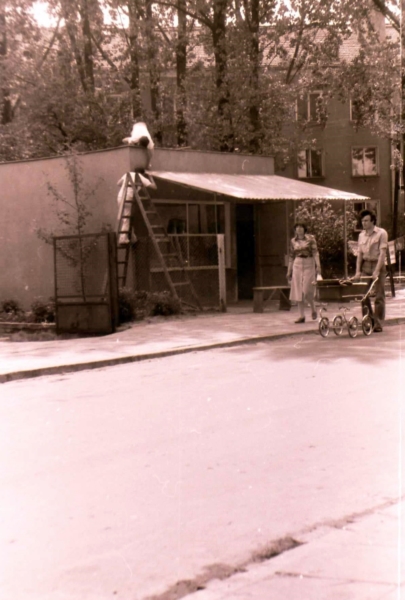 AR.RO.05.018.rakietnikow