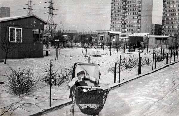 AR.ZW.04.011