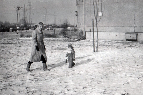 AR.ZW.04.013