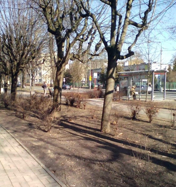AR.MM.13.038.slawka