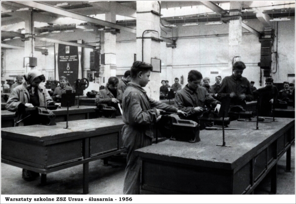AR.ZSZ.MS.18.006.warsztaty