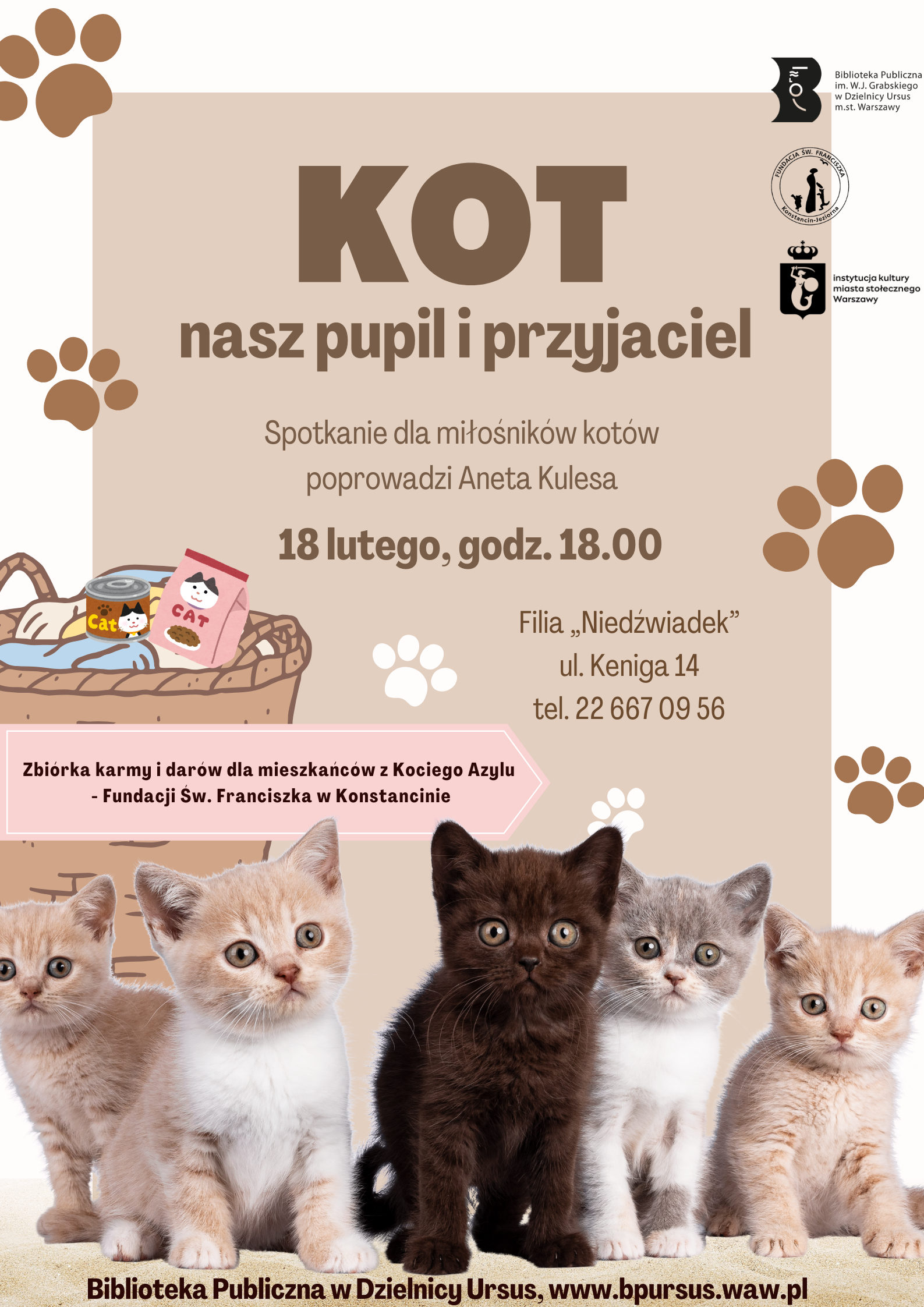 5 małych kotków w różnych kolorach, od jasno burych po czarnego
