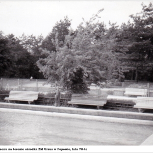 Kolekcja Elżbiety Pękała