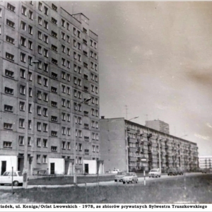 Kolekcja Sylwester Truszkowski