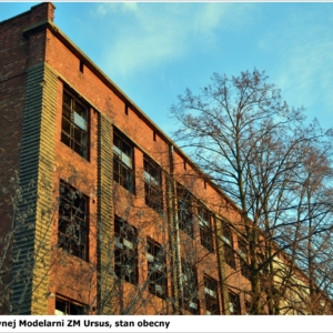 Kolekcja Dawid Rentfleish