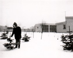 AR.IL.01.0011