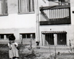 AR.IL.01.0013