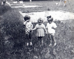 AR.IL.01.0019