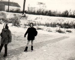 AR.IL.01.0029