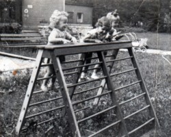 AR.IL.01.0037