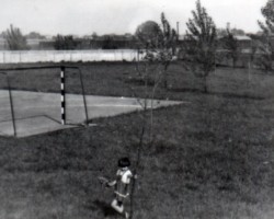 AR.IL.01.0051