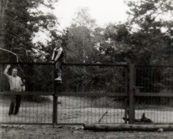 AR.IL.01.0066