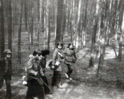 AR.IL.01.0072