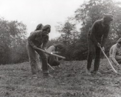 AR.IL.01.0082