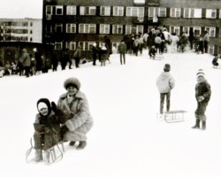 AR.ZW.04.006