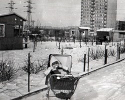 AR.ZW.04.011