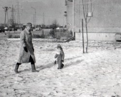 AR.ZW.04.013