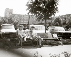 AR.ZW.04.015
