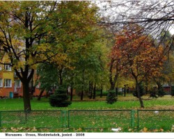 Warszawa-Ursus, Niedźwiadek - 2008 AR.KS.22.023