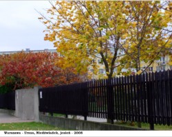 Warszawa-Ursus, Niedźwiadek - 2008 AR.KS.22.024
