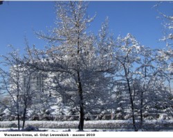 Warszawa-Ursus, ul. Orląt Lwowskich - 2010 AR.KS.22.053