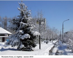 Warszawa-Ursus, Zagłoby - 2010 AR.KS.22.062