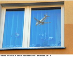 Warszawa-Ursus, ul. Zagłoby - 2013 AR.KS.22.082