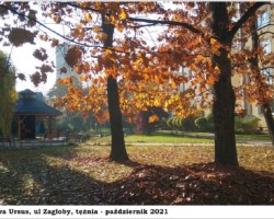 Warszawa-Ursus, ul. Zagłoby, tężnia - 2021 AR.KS.22.152