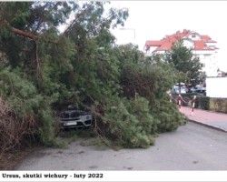 Warszawa-Ursus, wichura - 2022 AR.KS.22.154