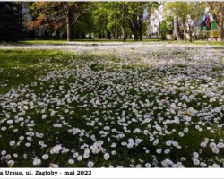 Warszawa-Ursus, ul. Zagłoby - 2022 AR.KS.22.156