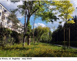 Warszawa-Ursus, ul. Zagłoby - 2022 AR.KS.22.158