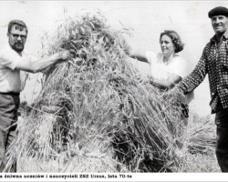 Akcja żniwna w latach 70-tych AR.HK.24.022