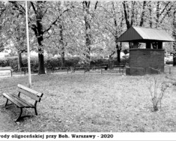 Studnia wody oligoceńskiej przy Boh. Warszawy AR.ZS.29.009