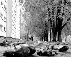 Jesień na ulicy Walerego Sławka AR.ZS.29.010