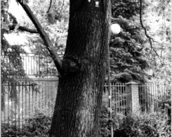 Park Achera AR.ZS.29.024