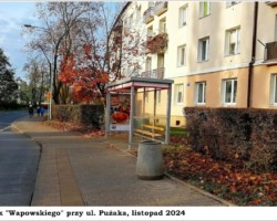 Pużaka, przystanek "Wapowskiego" AR.ZS.29.079
