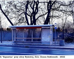 Ryżowa, przystanek "Zapustna" AR.ZS.29.083