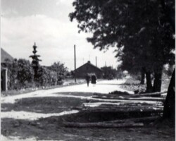 AR.MS.41.0014